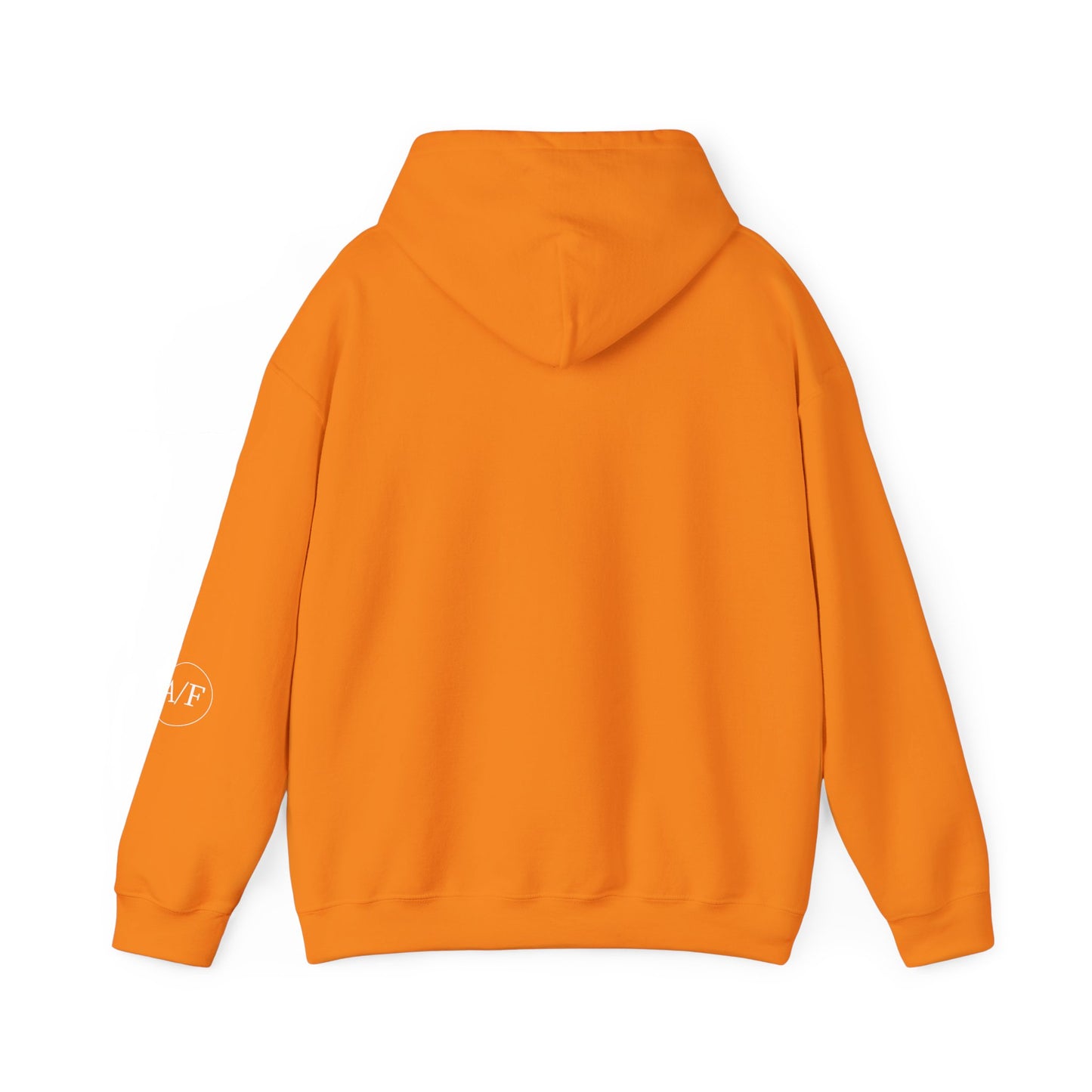 Authentic A/F Hooded Sweatshirt