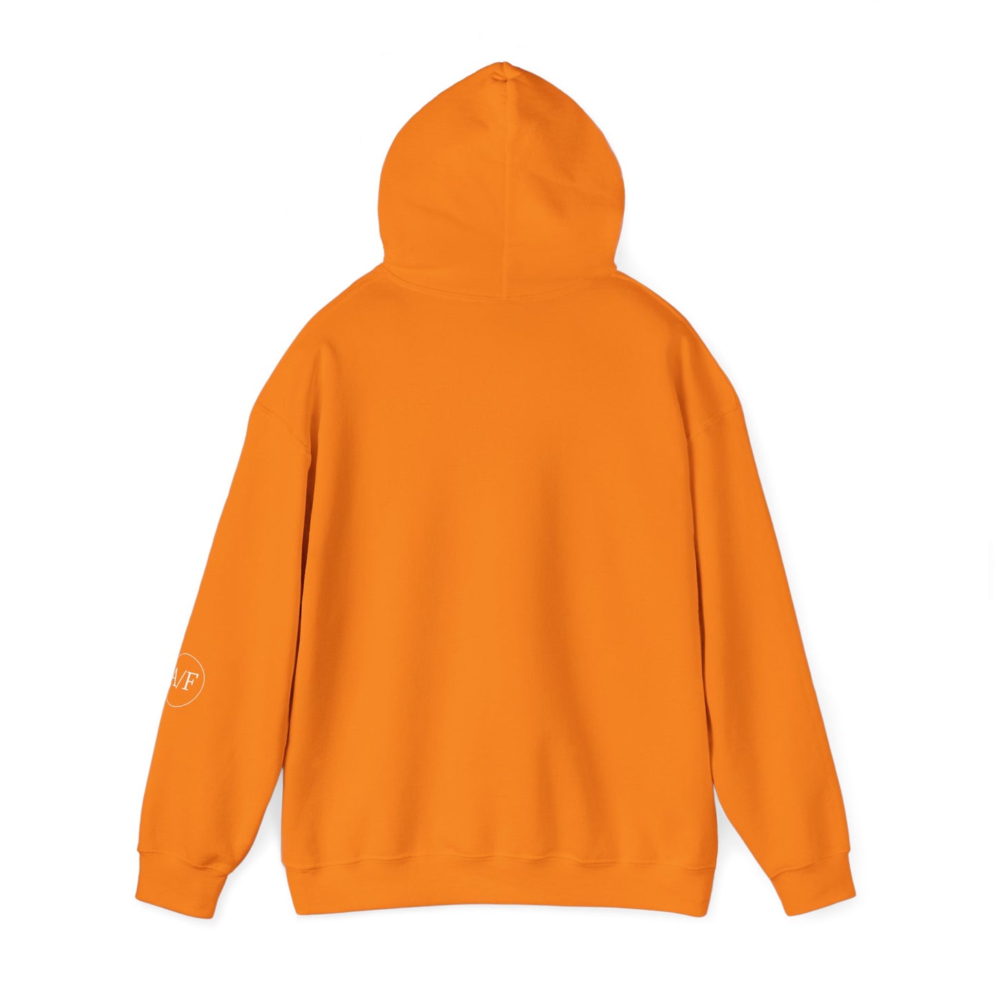 Authentic A/F Hooded Sweatshirt