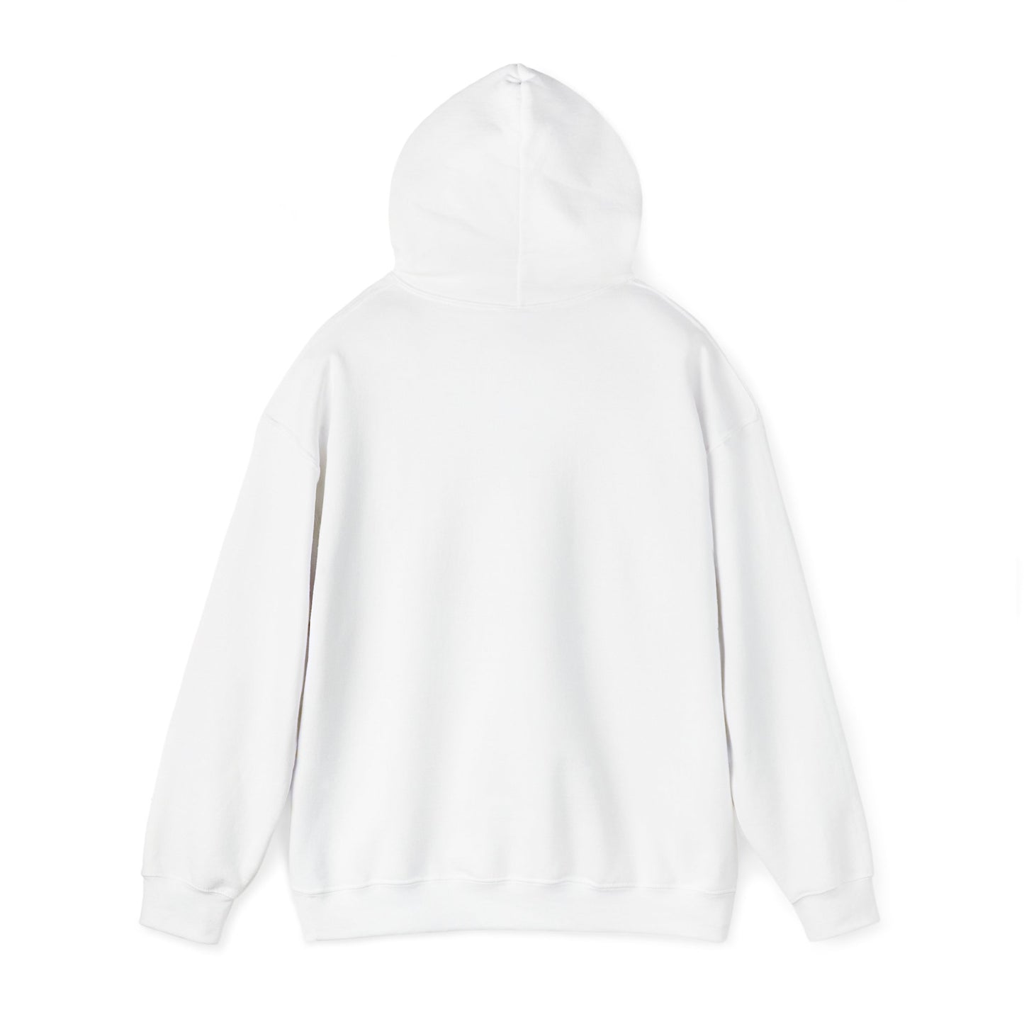 Authentic A/F Hooded Sweatshirt